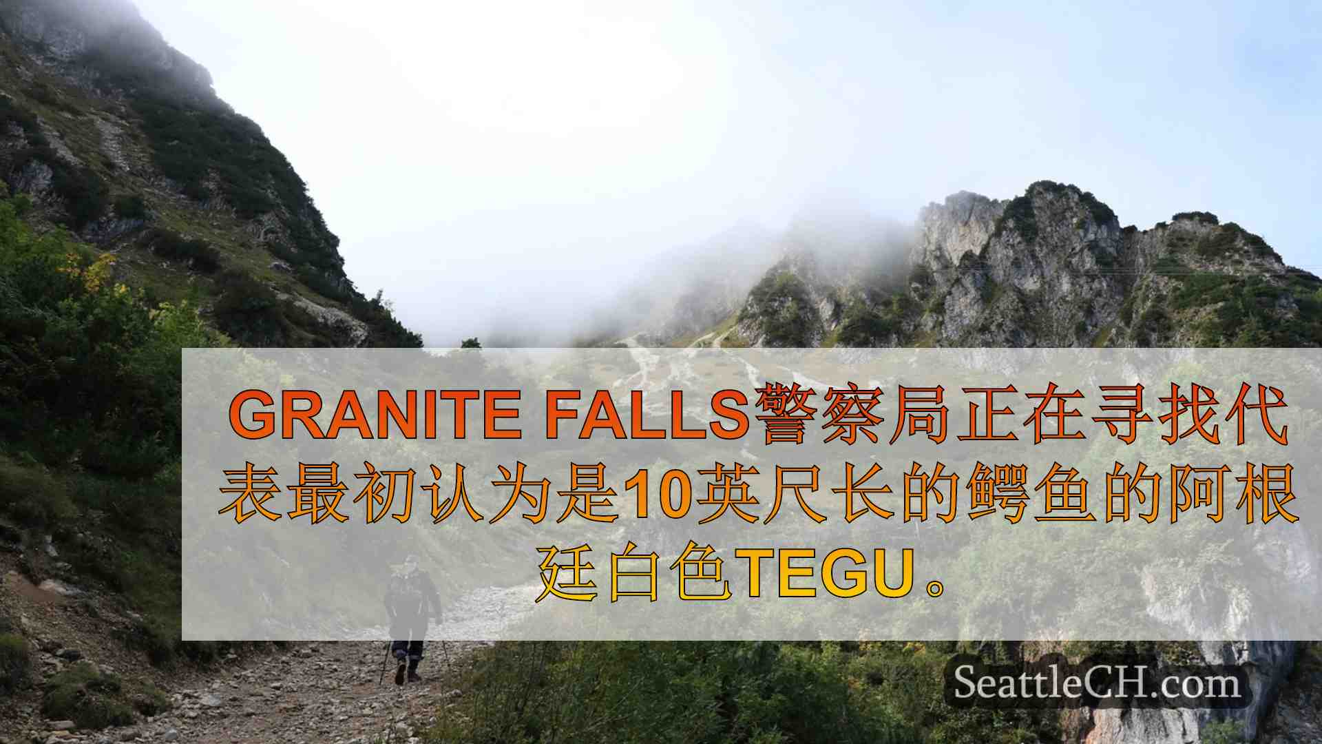 西雅图新闻 SeattleCH