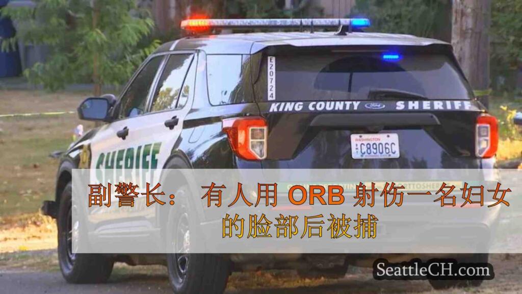 副警长： 在布里恩（Burien）用 Orbeez 枪射击妇女面部后被捕的人