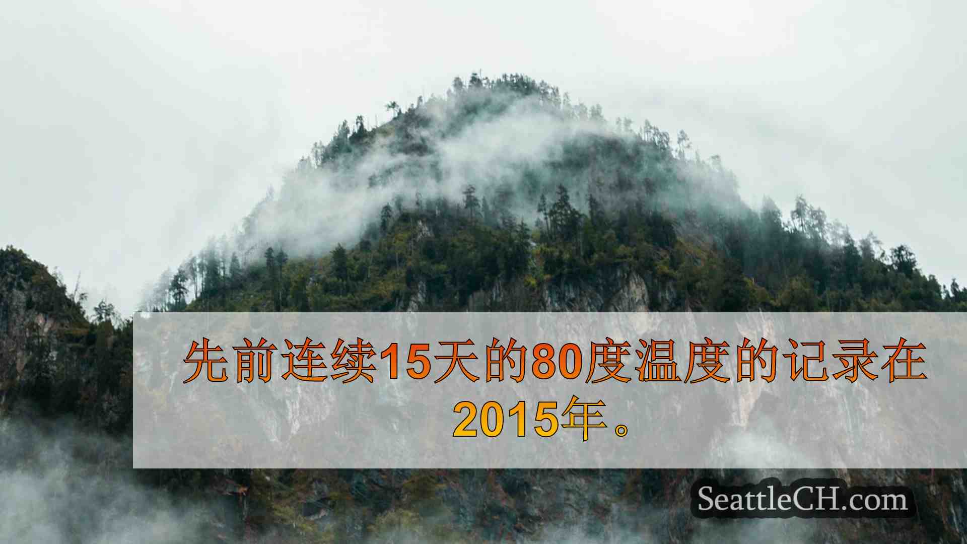 西雅图新闻 SeattleCH