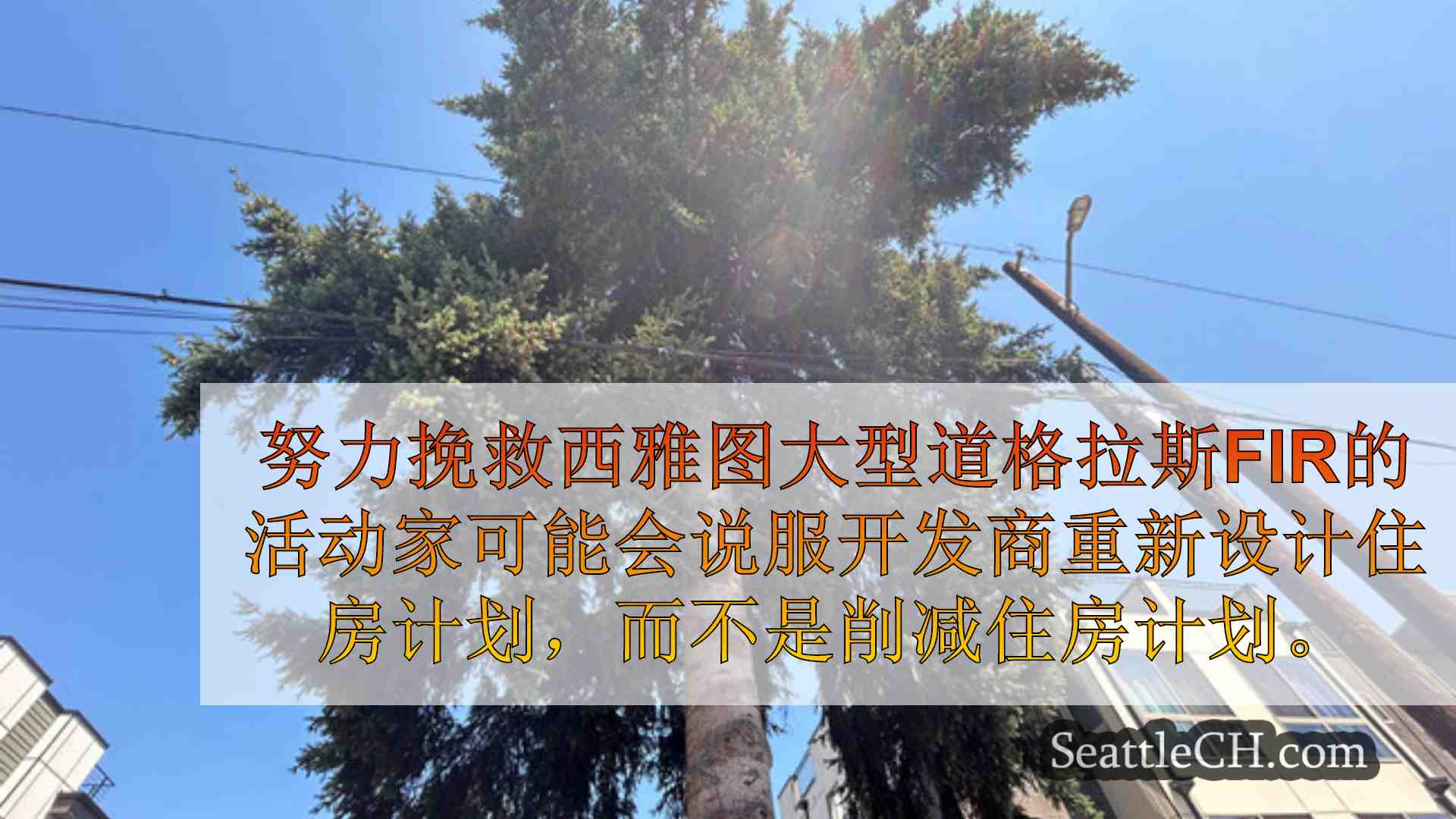 西雅图新闻 SeattleCH