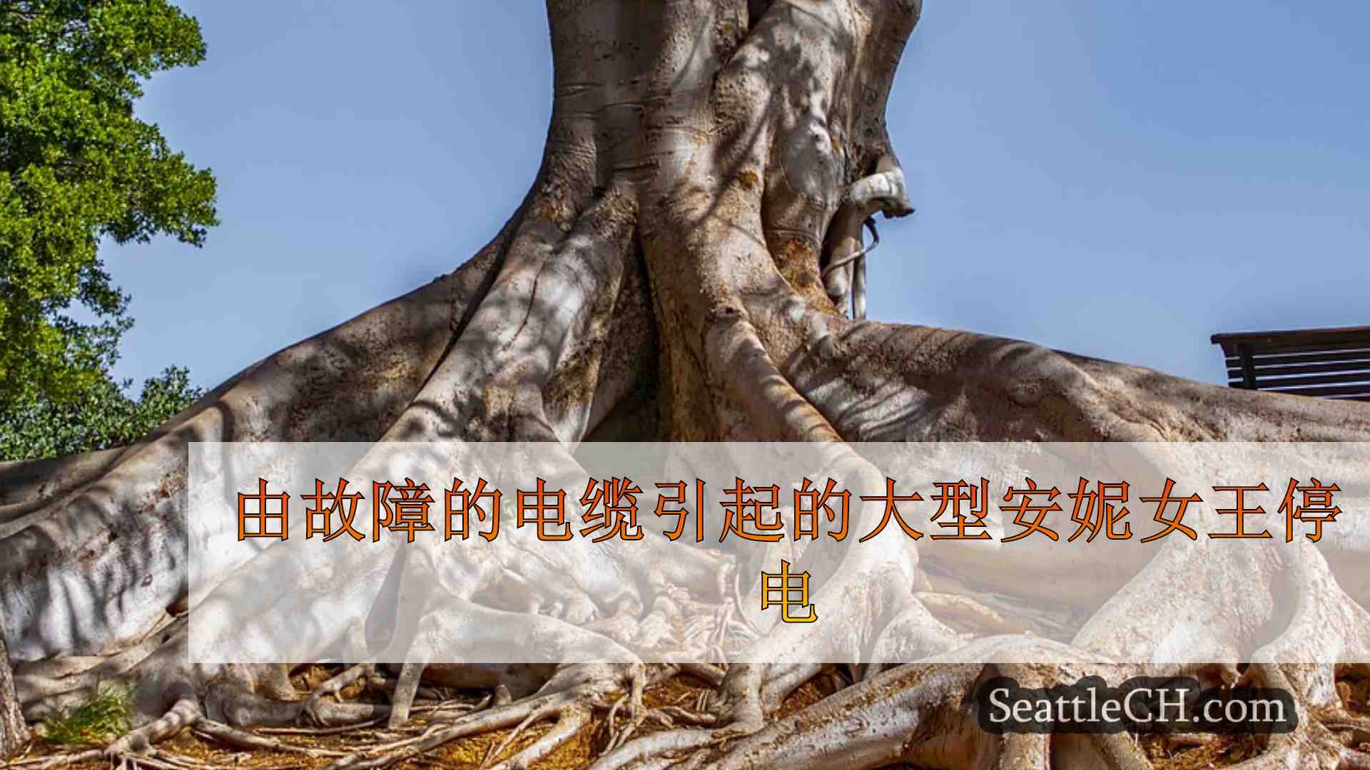 西雅图新闻 SeattleCH
