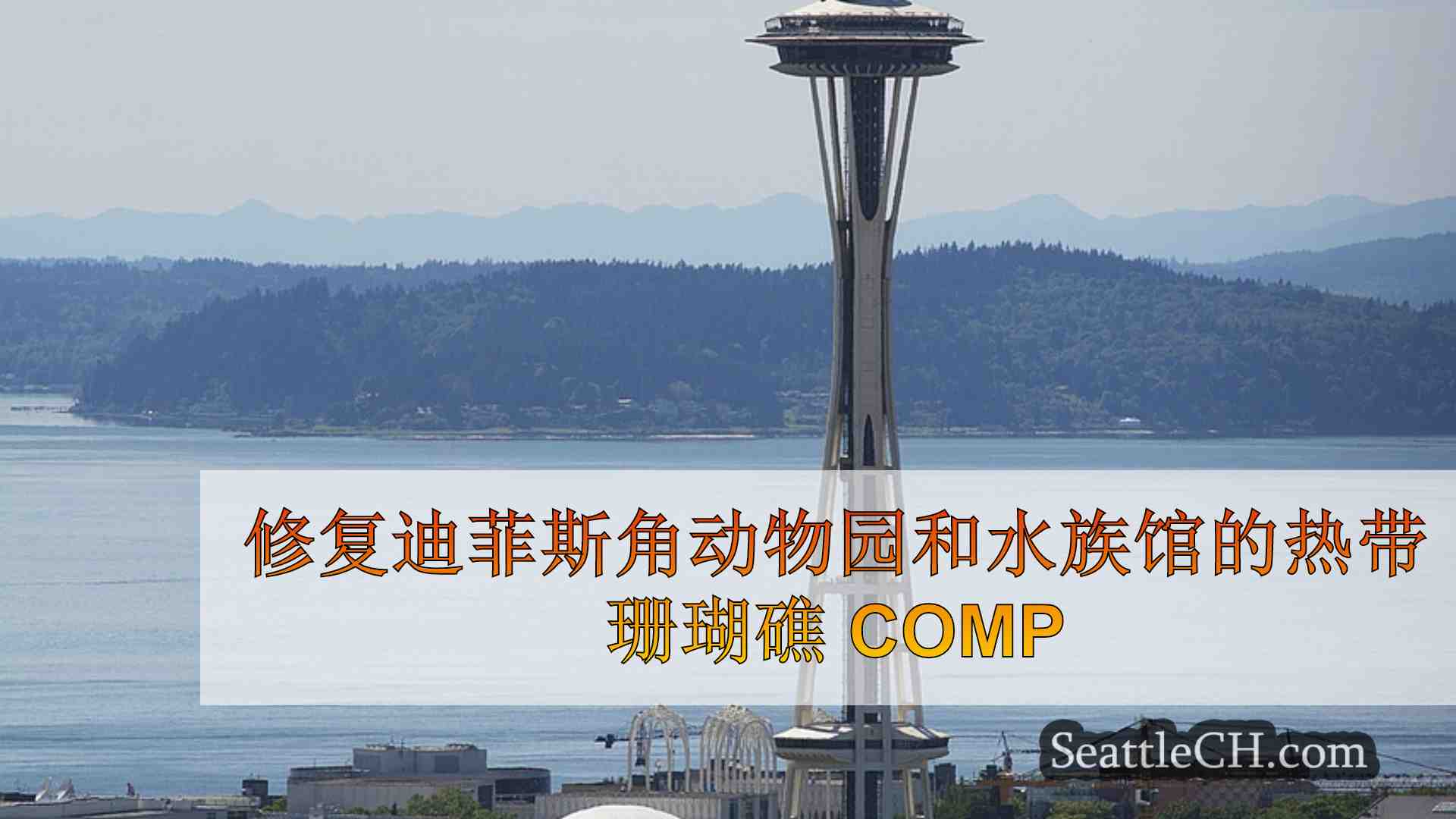 西雅图新闻 SeattleCH