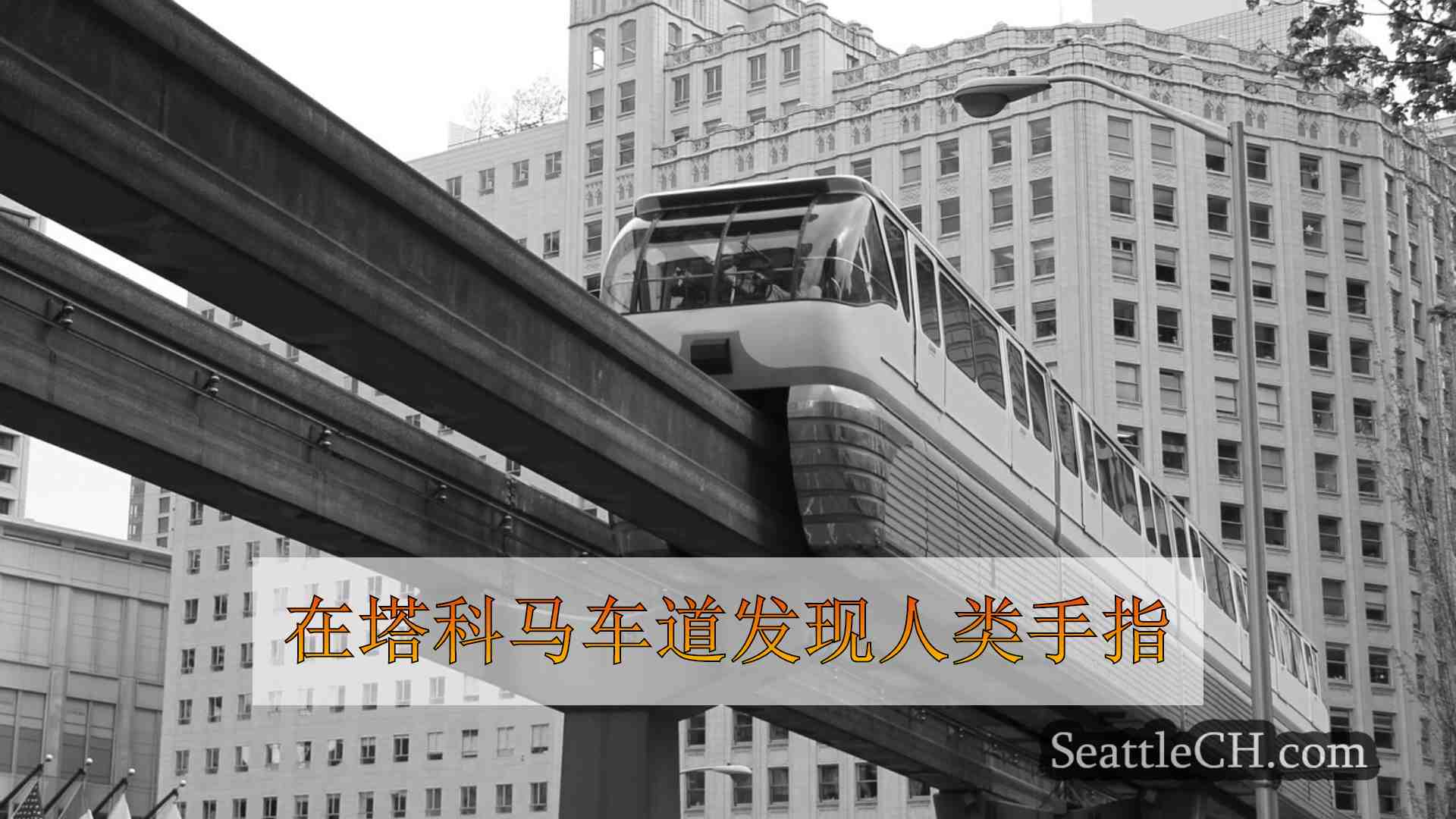 西雅图新闻 SeattleCH