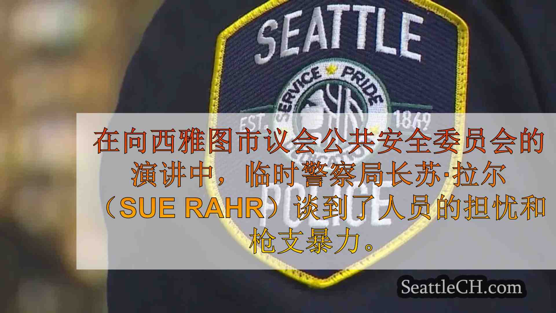 SPD首席负责人的人员问题，监狱限制和“惊人的”枪支暴力