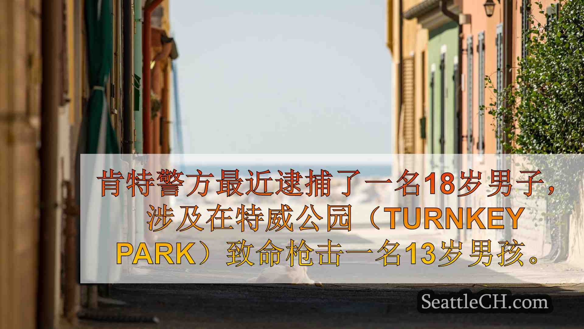 西雅图新闻 SeattleCH