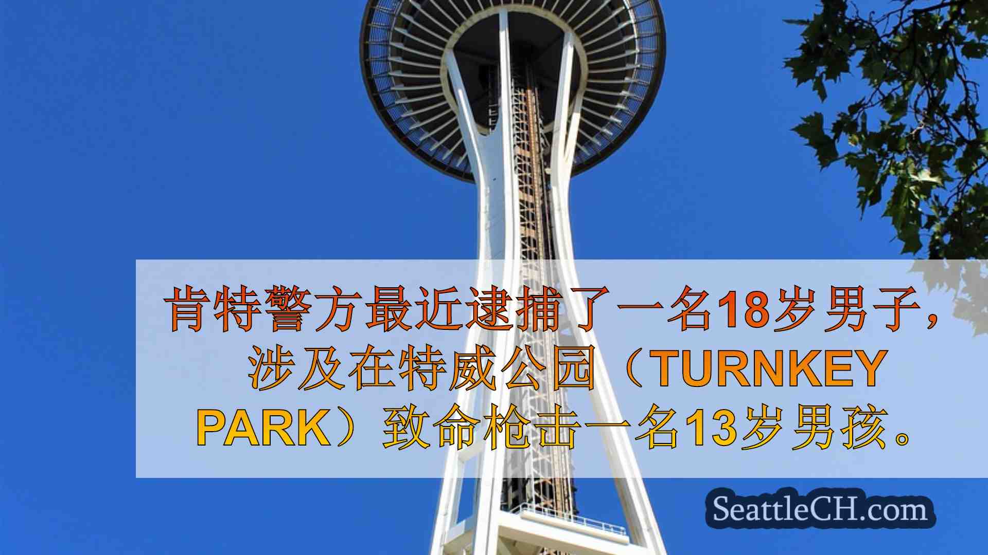 西雅图新闻 SeattleCH