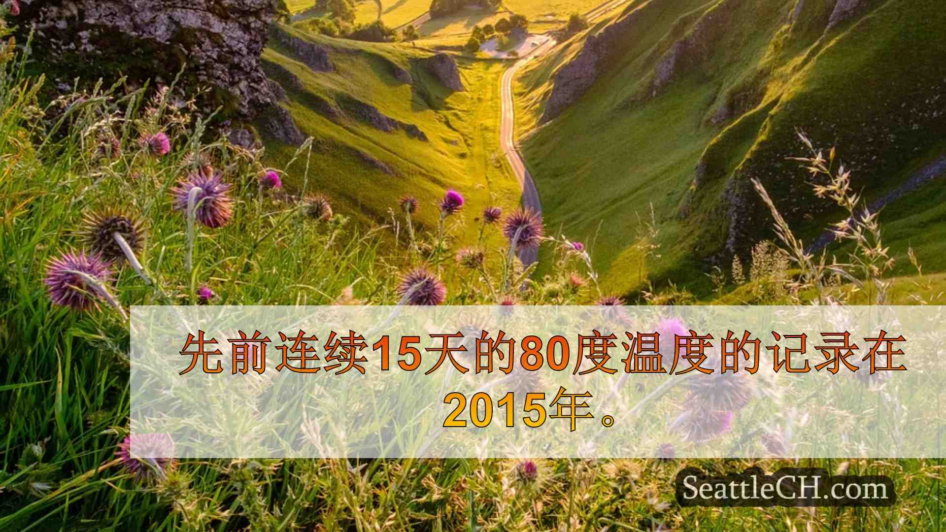 西雅图新闻 SeattleCH
