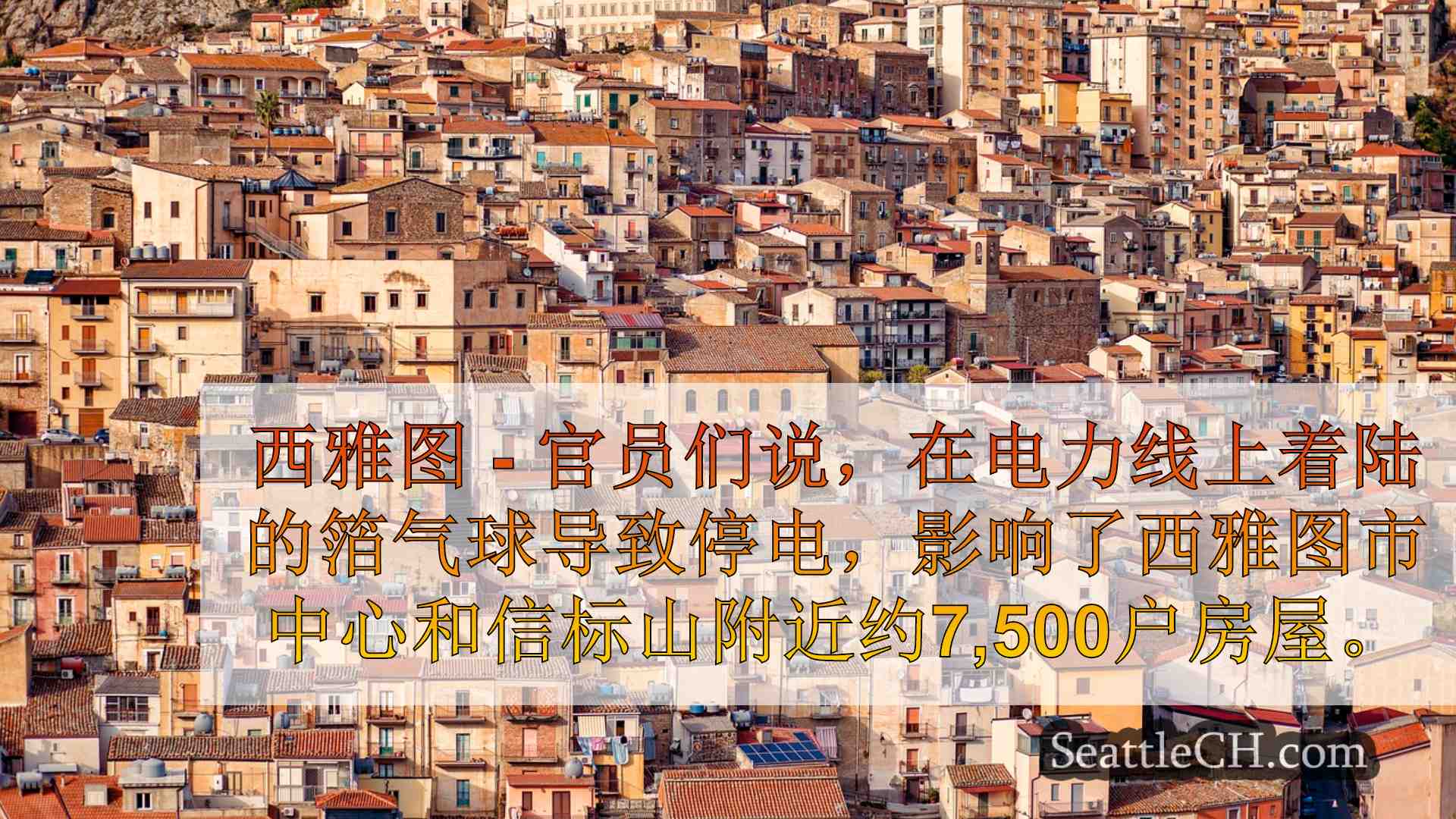西雅图新闻 SeattleCH