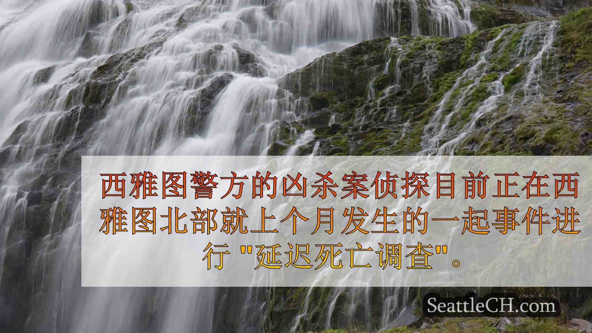 西雅图新闻 SeattleCH