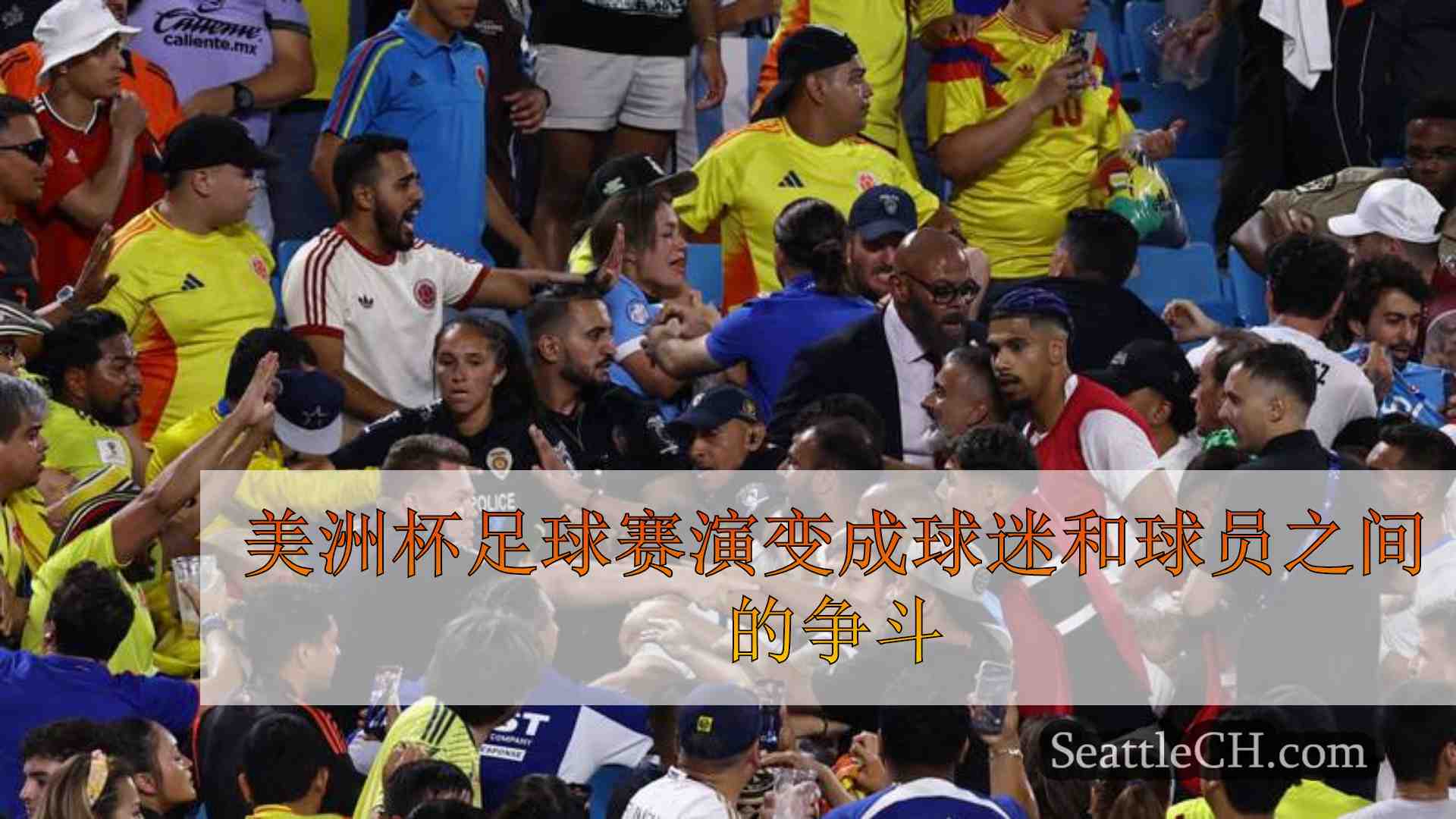 美洲杯足球赛演变成球迷和球员之间的争斗