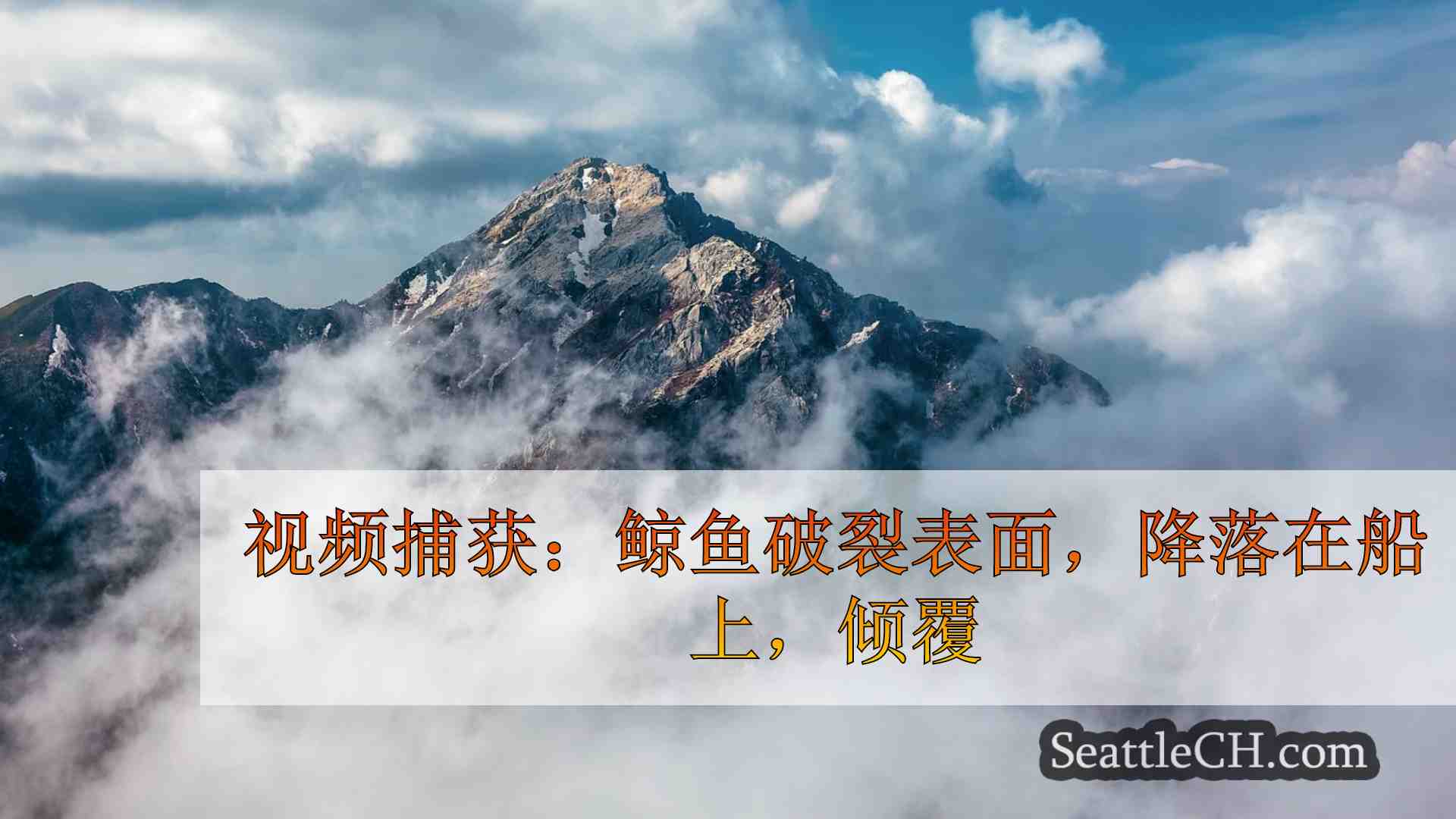 西雅图新闻 SeattleCH