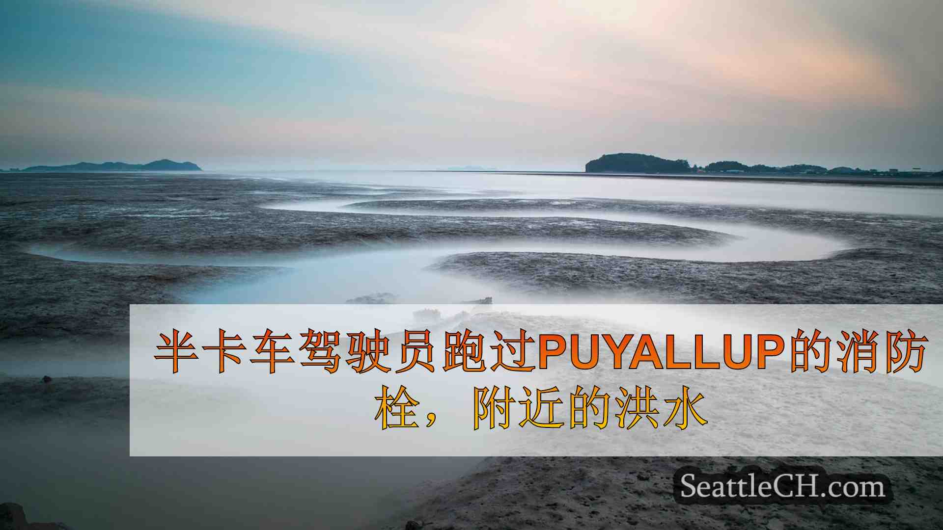 半卡车驾驶员在Puyallup的消防栓，附近的房屋，商务