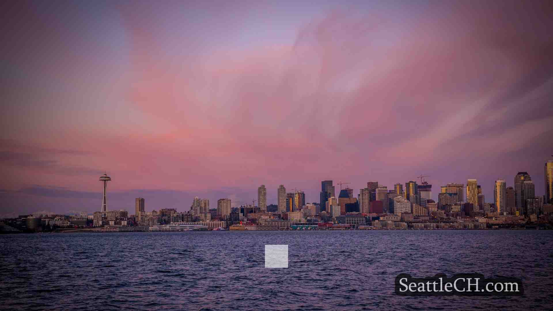 西雅图新闻 SeattleCH