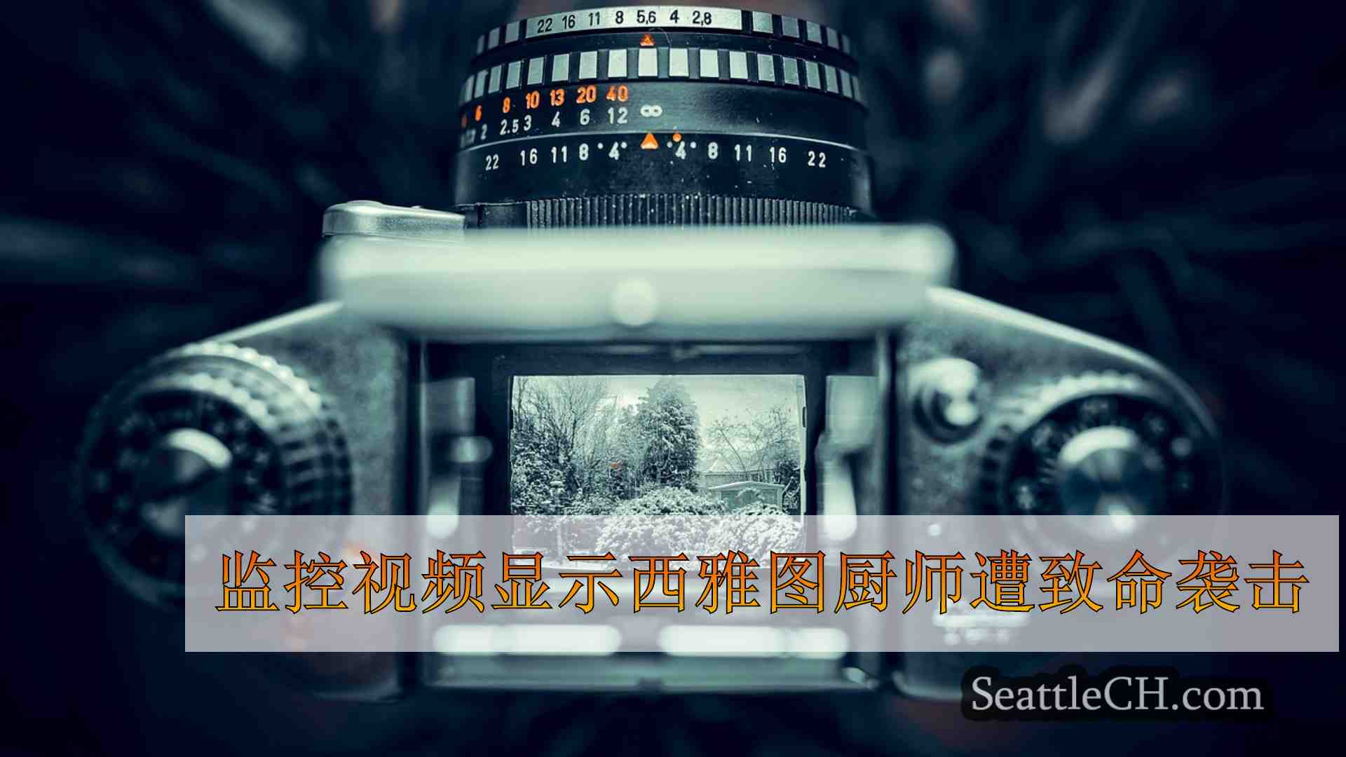 西雅图新闻 SeattleCH