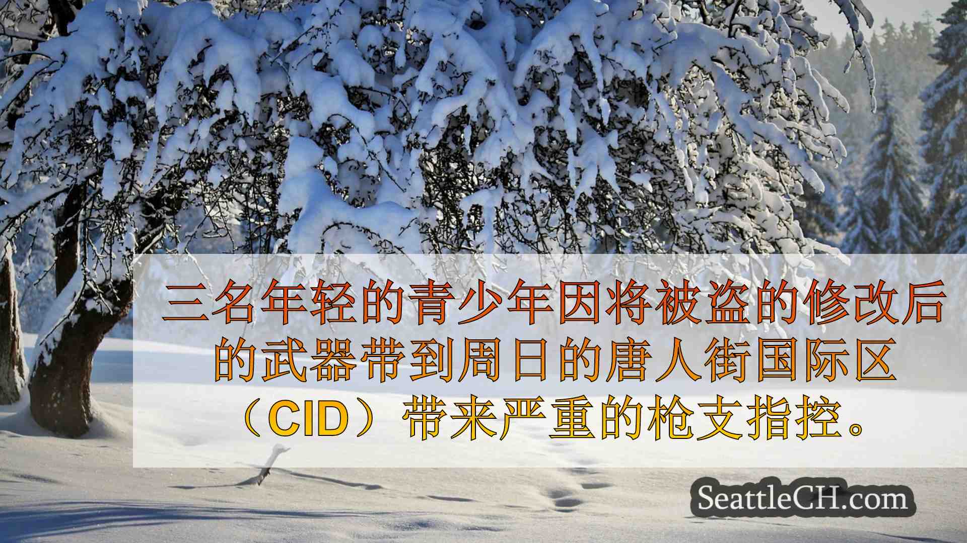 青少年用修改后的武器破坏了海火游行后面临严重的枪支指控