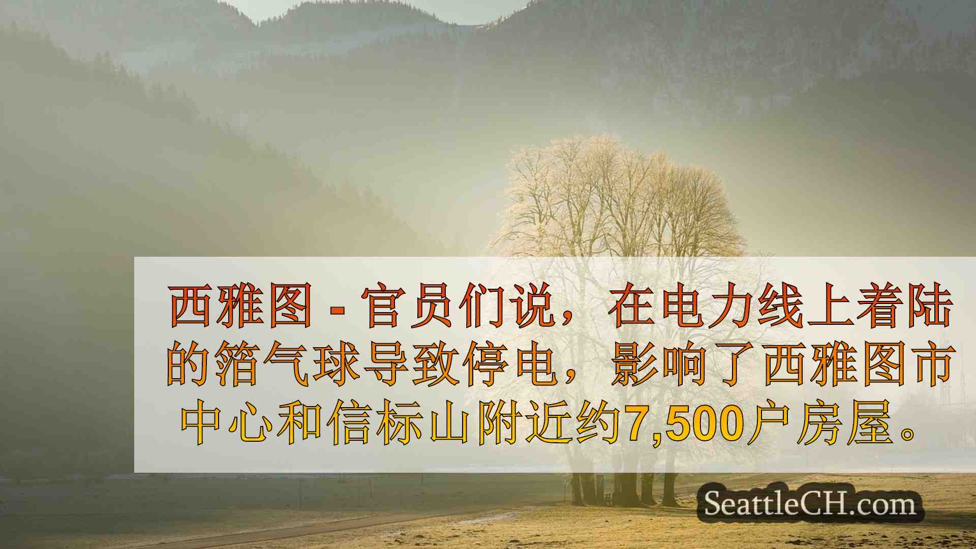 气球引起的停电会影响超过7,000家西雅图房屋