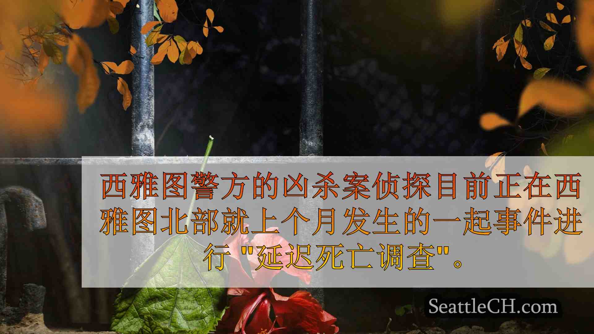 西雅图新闻 SeattleCH
