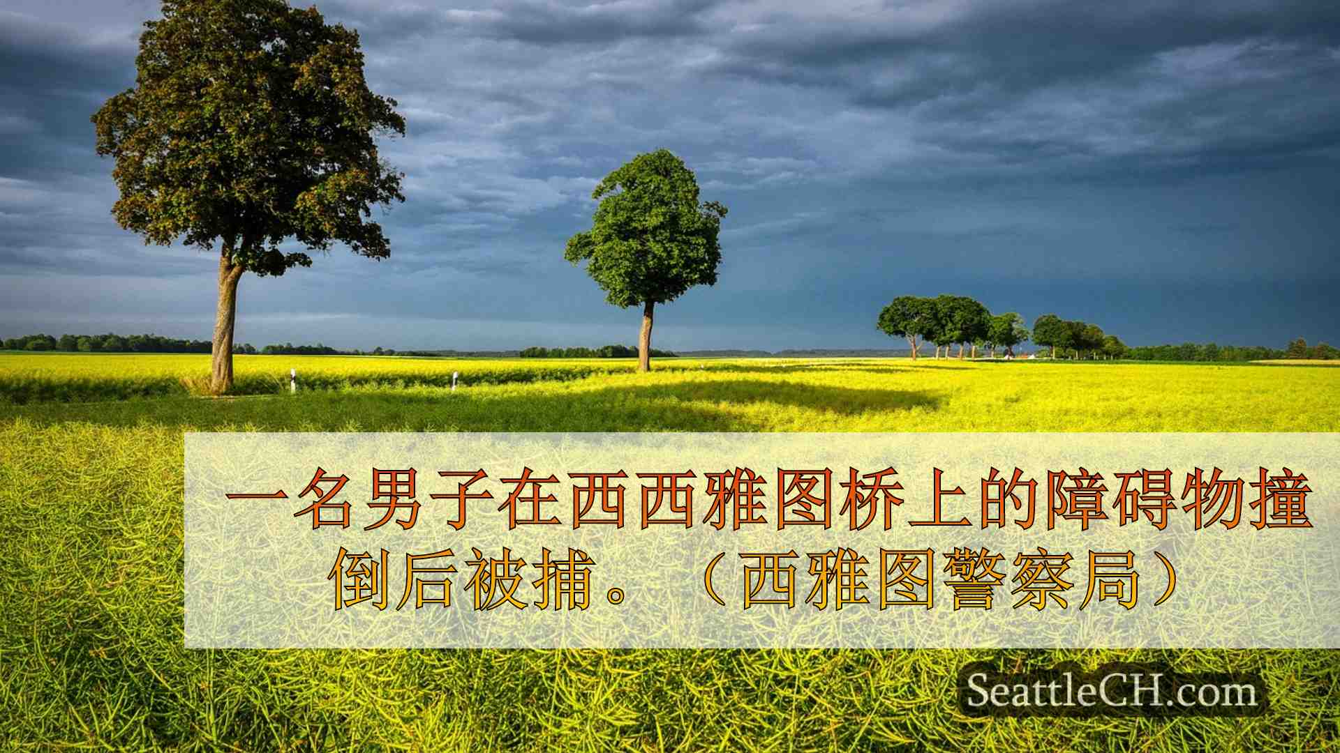 西雅图新闻 SeattleCH