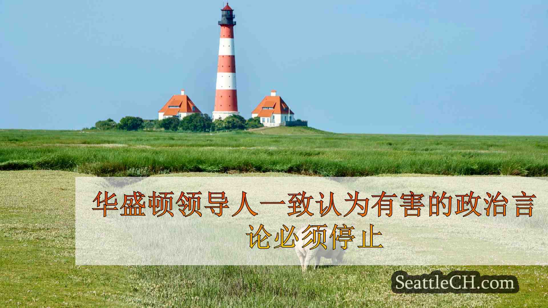 华盛顿领导人一致认为有害的政治言论必须停止