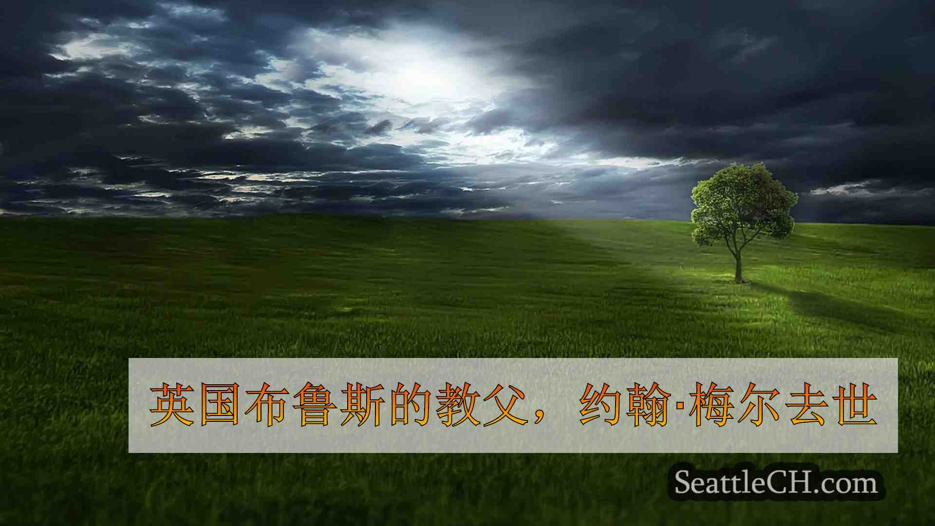 西雅图新闻 SeattleCH