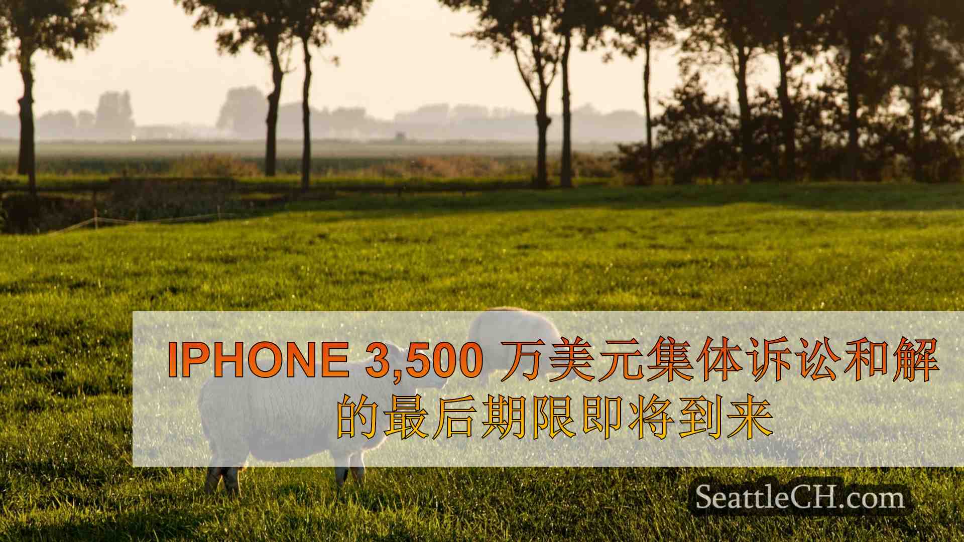 西雅图新闻 SeattleCH