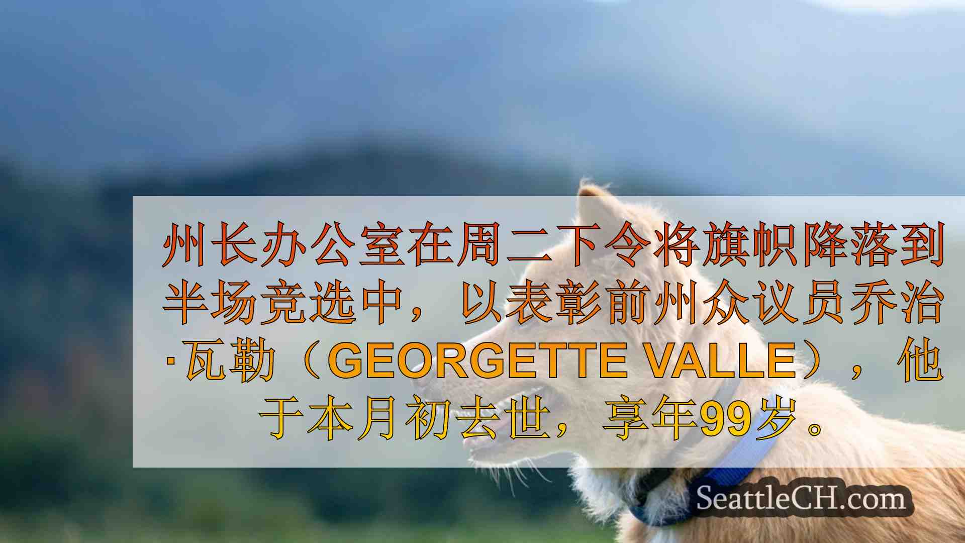 西雅图新闻 SeattleCH