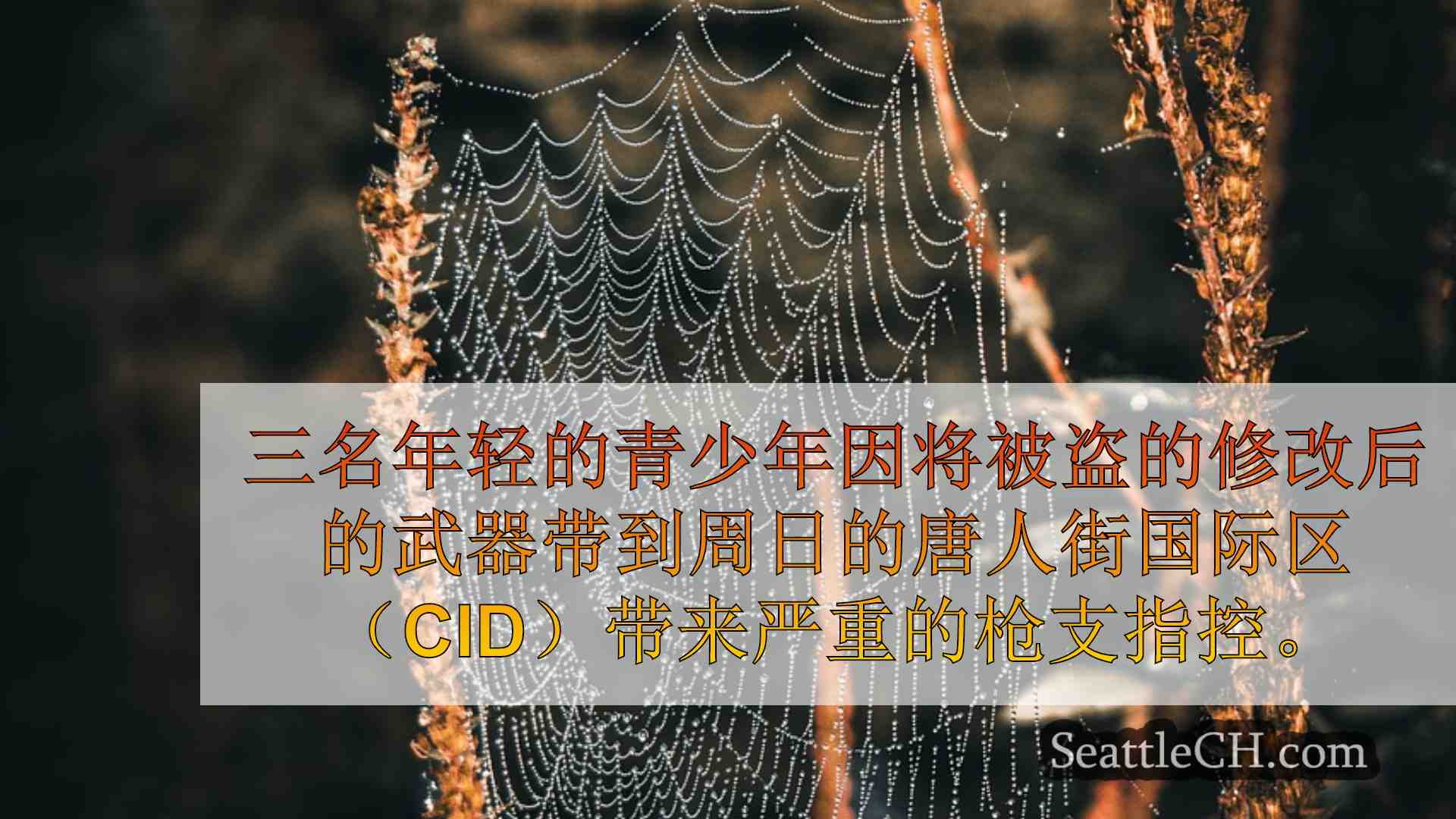 西雅图新闻 SeattleCH