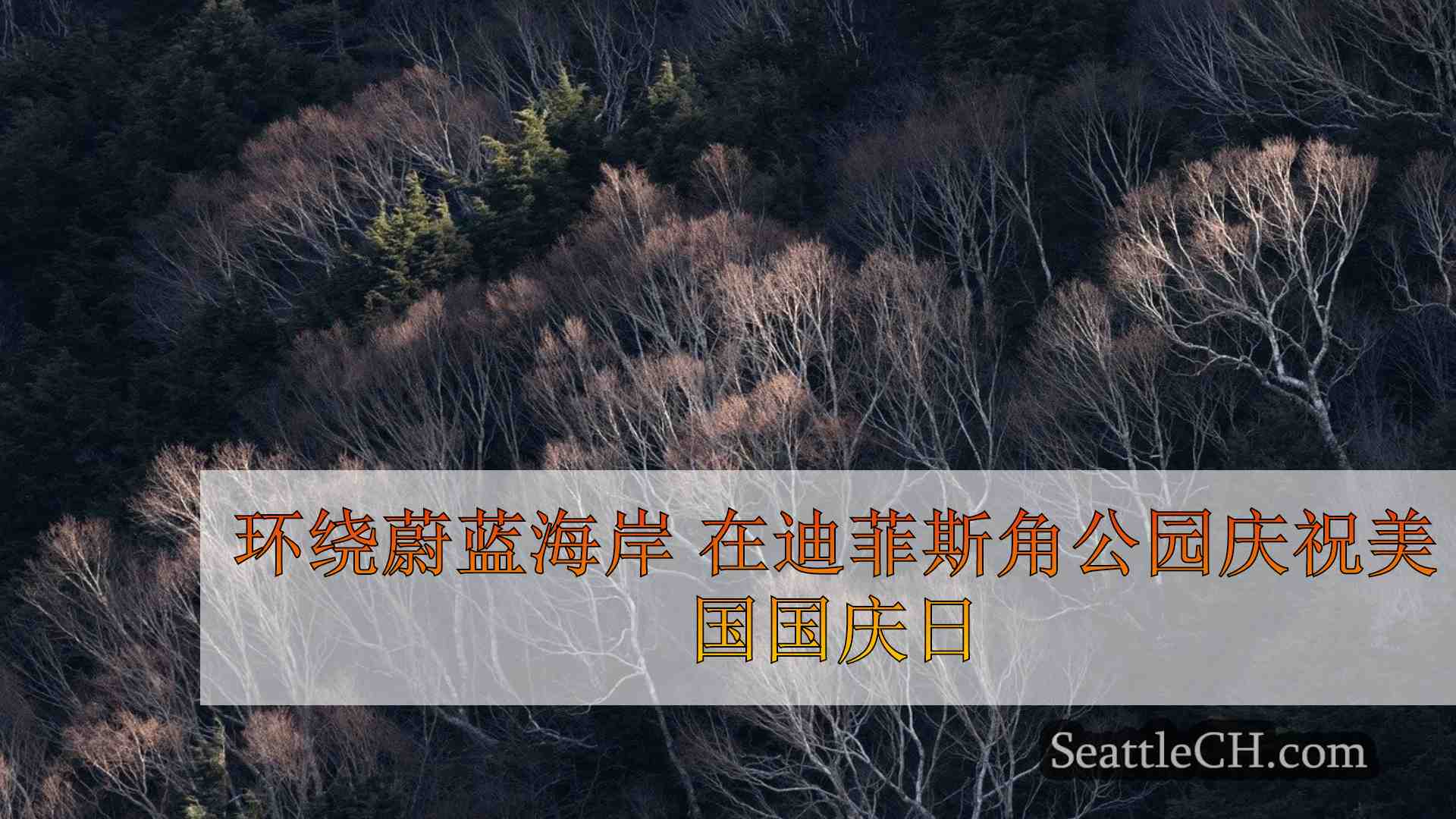 西雅图新闻 SeattleCH