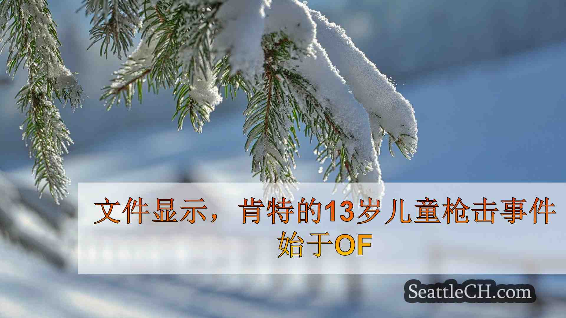 西雅图新闻 SeattleCH