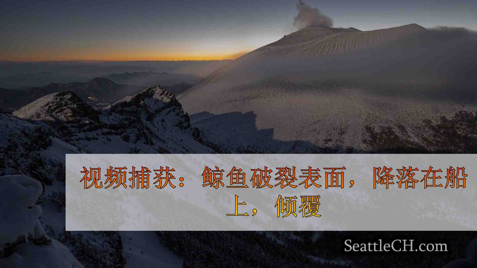 西雅图新闻 SeattleCH