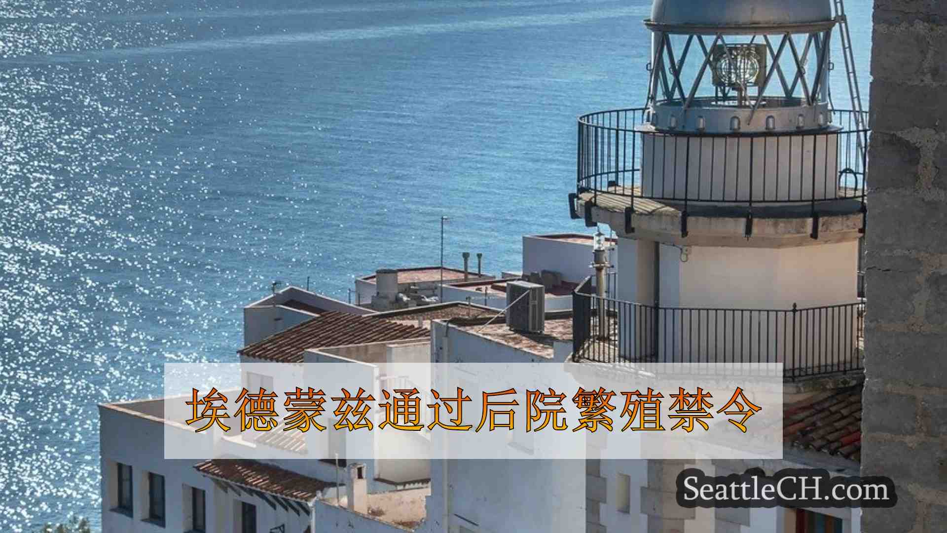 西雅图新闻 SeattleCH