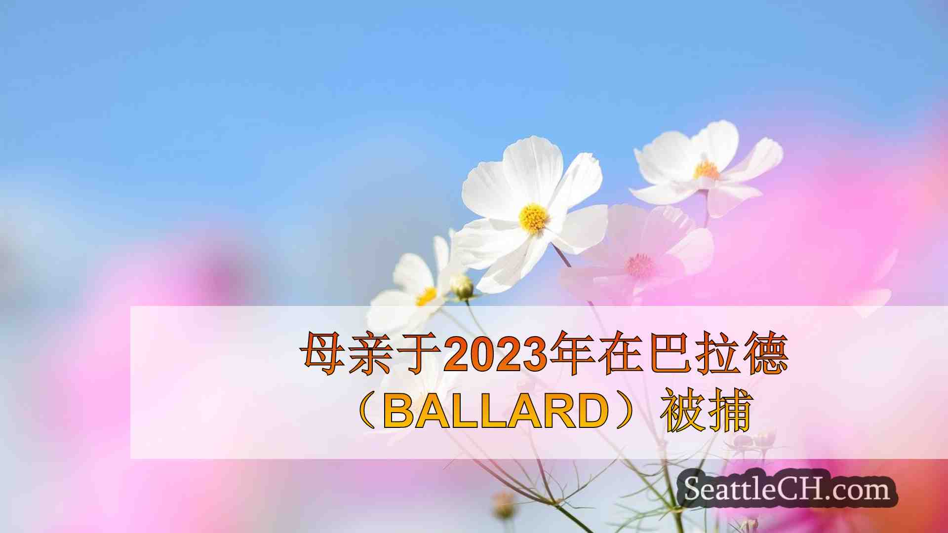 西雅图新闻 SeattleCH
