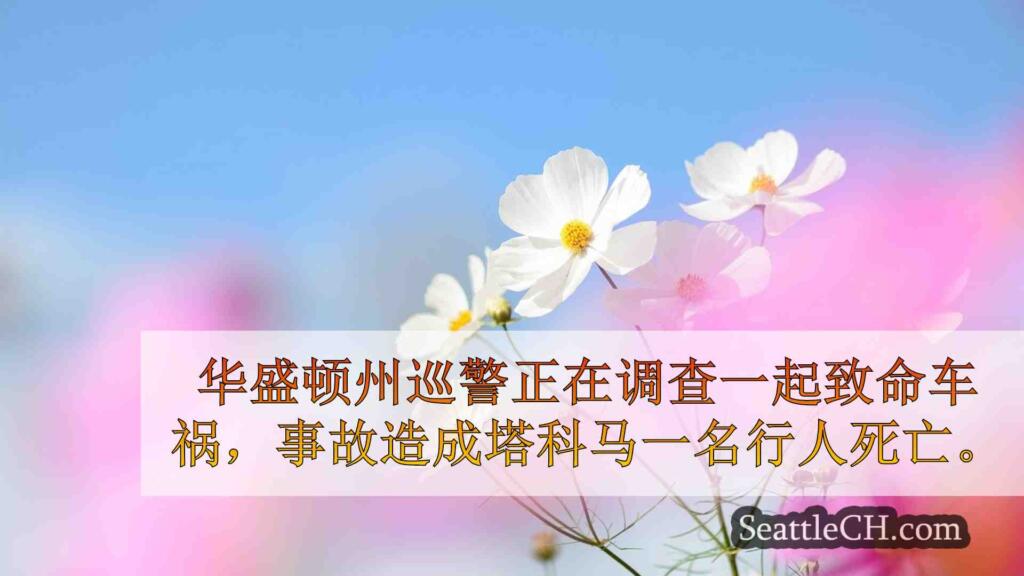 塔科马车祸夺走站在 SR 16 西行车道上行人的生命