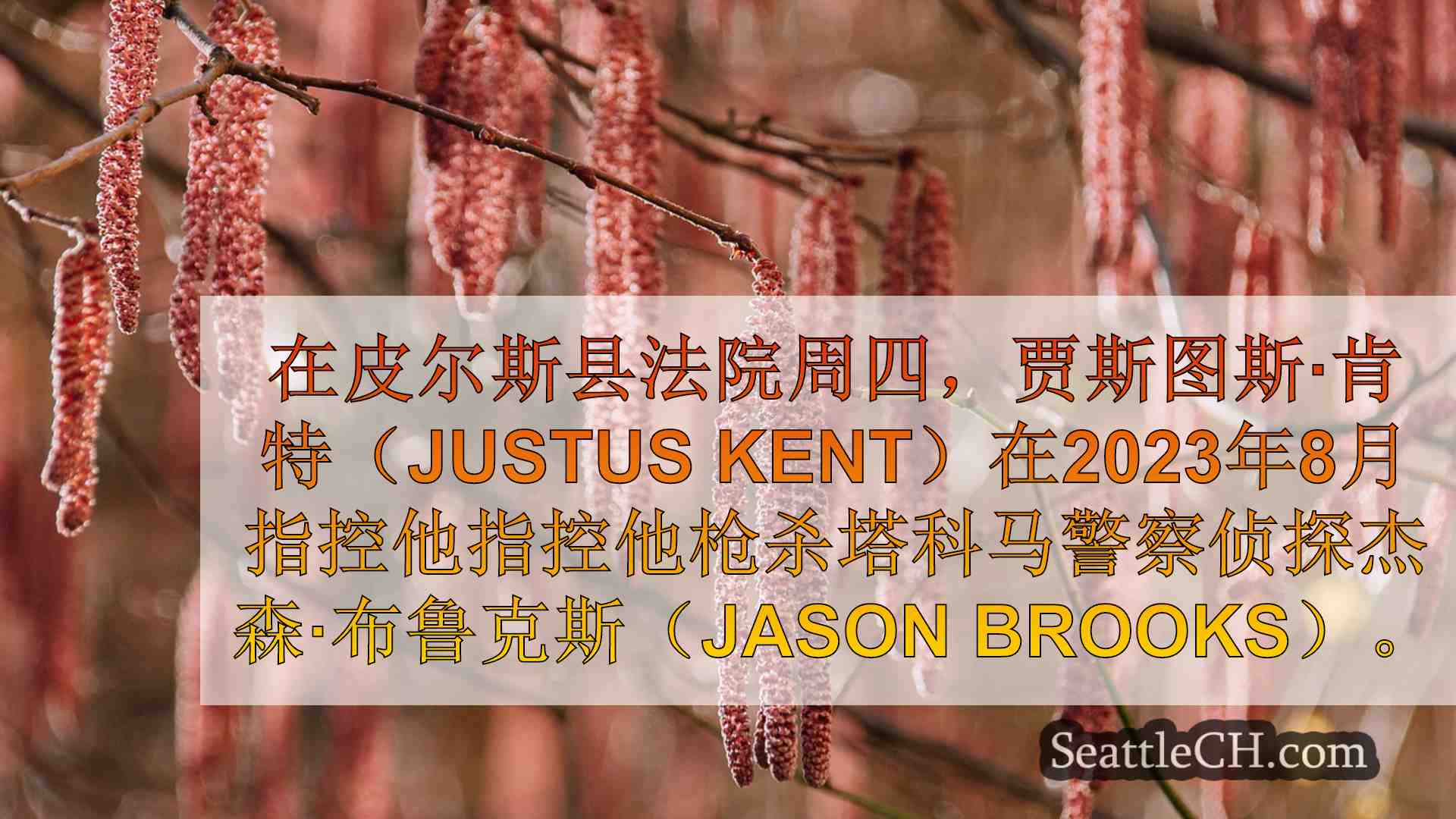 西雅图新闻 SeattleCH