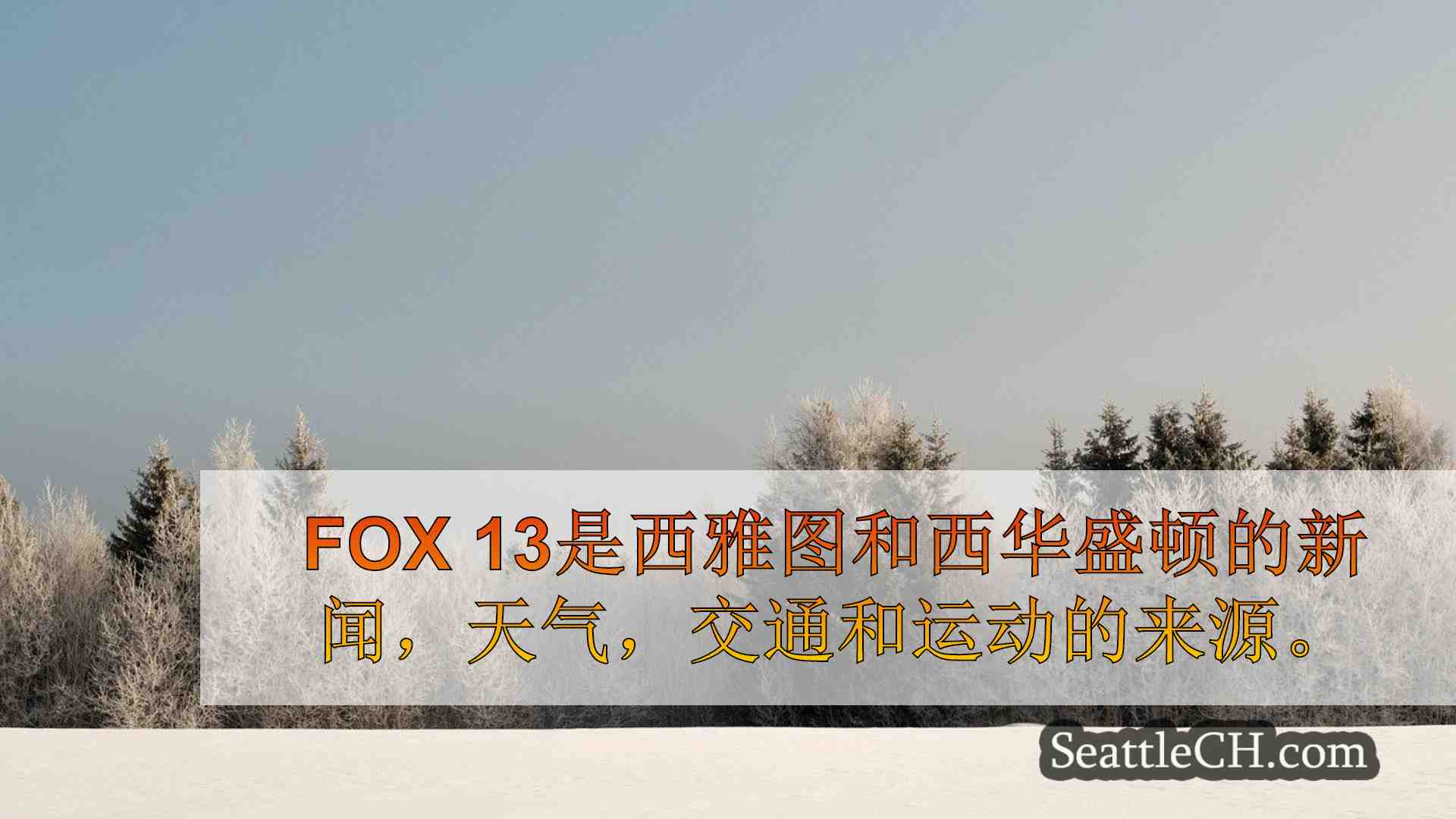 西雅图新闻 SeattleCH