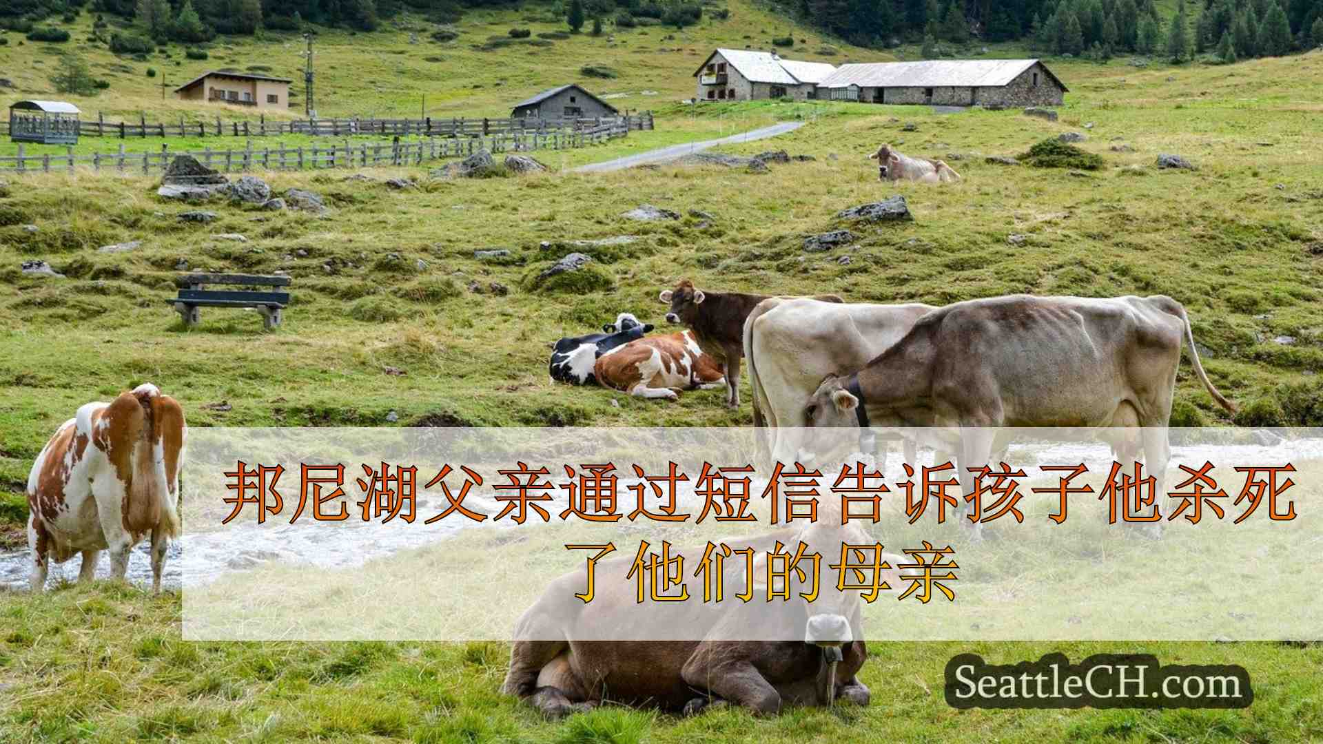 西雅图新闻 SeattleCH