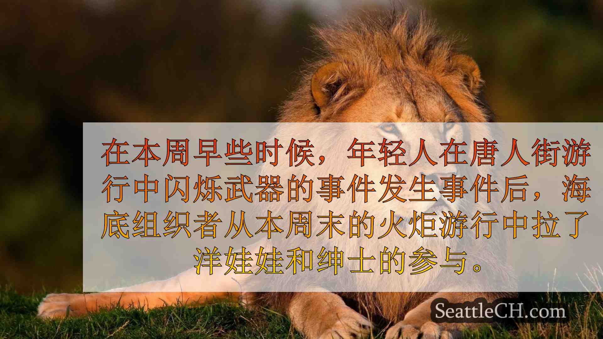 西雅图新闻 SeattleCH