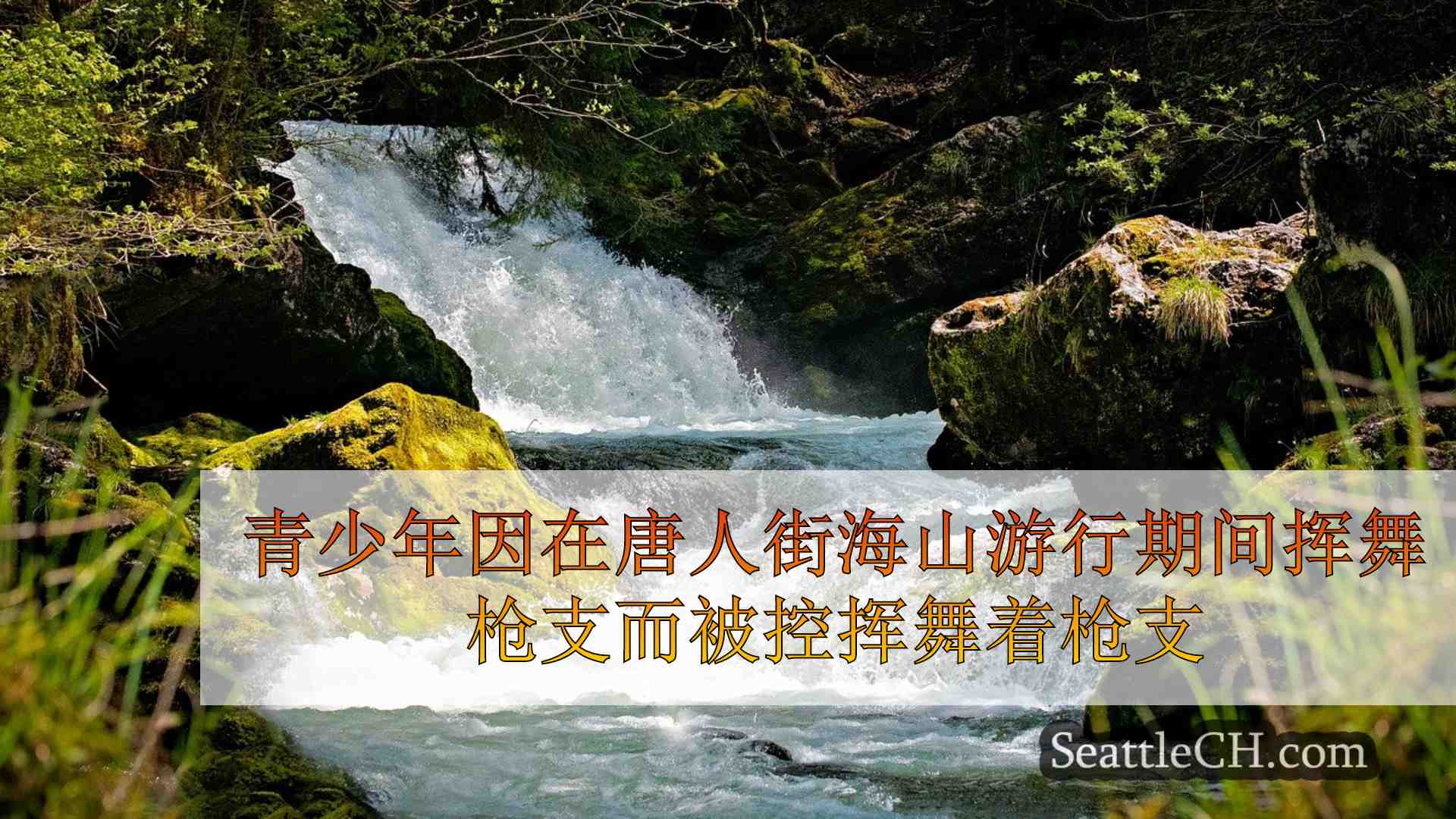 青少年因在唐人街海山游行期间挥舞枪支而被控挥舞着枪支