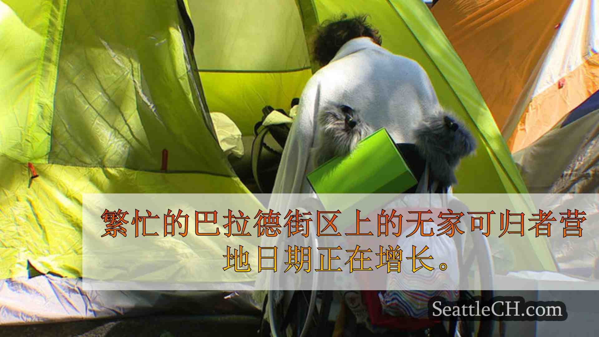 西雅图新闻 SeattleCH