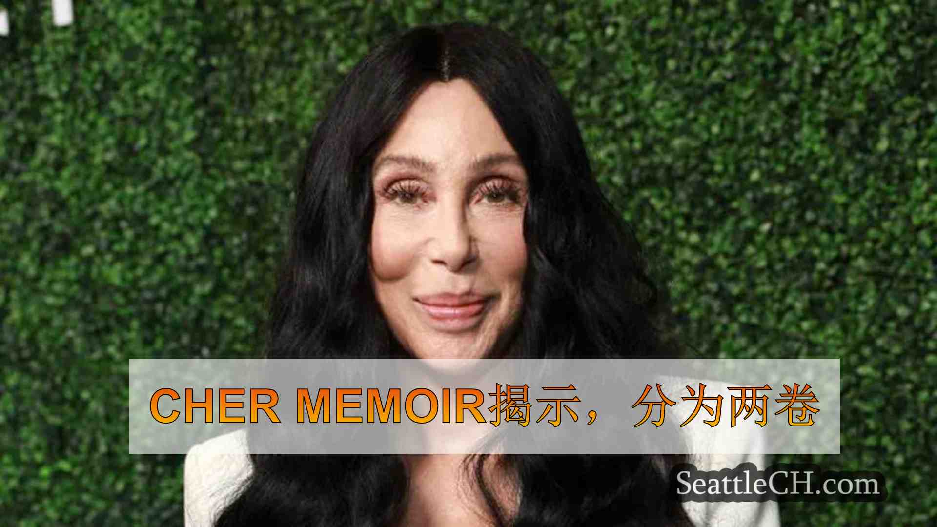 Cher Memoir揭示，分为两卷