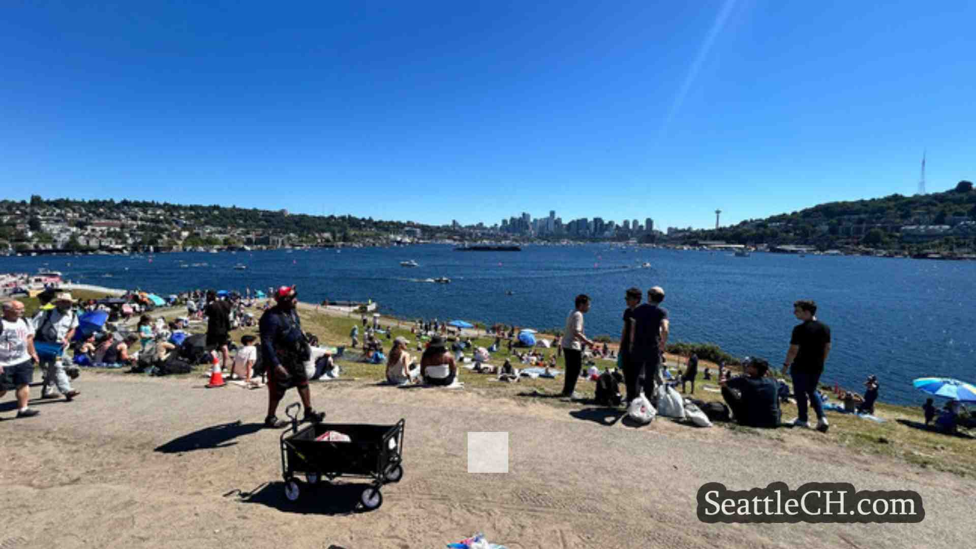 西雅图新闻 SeattleCH