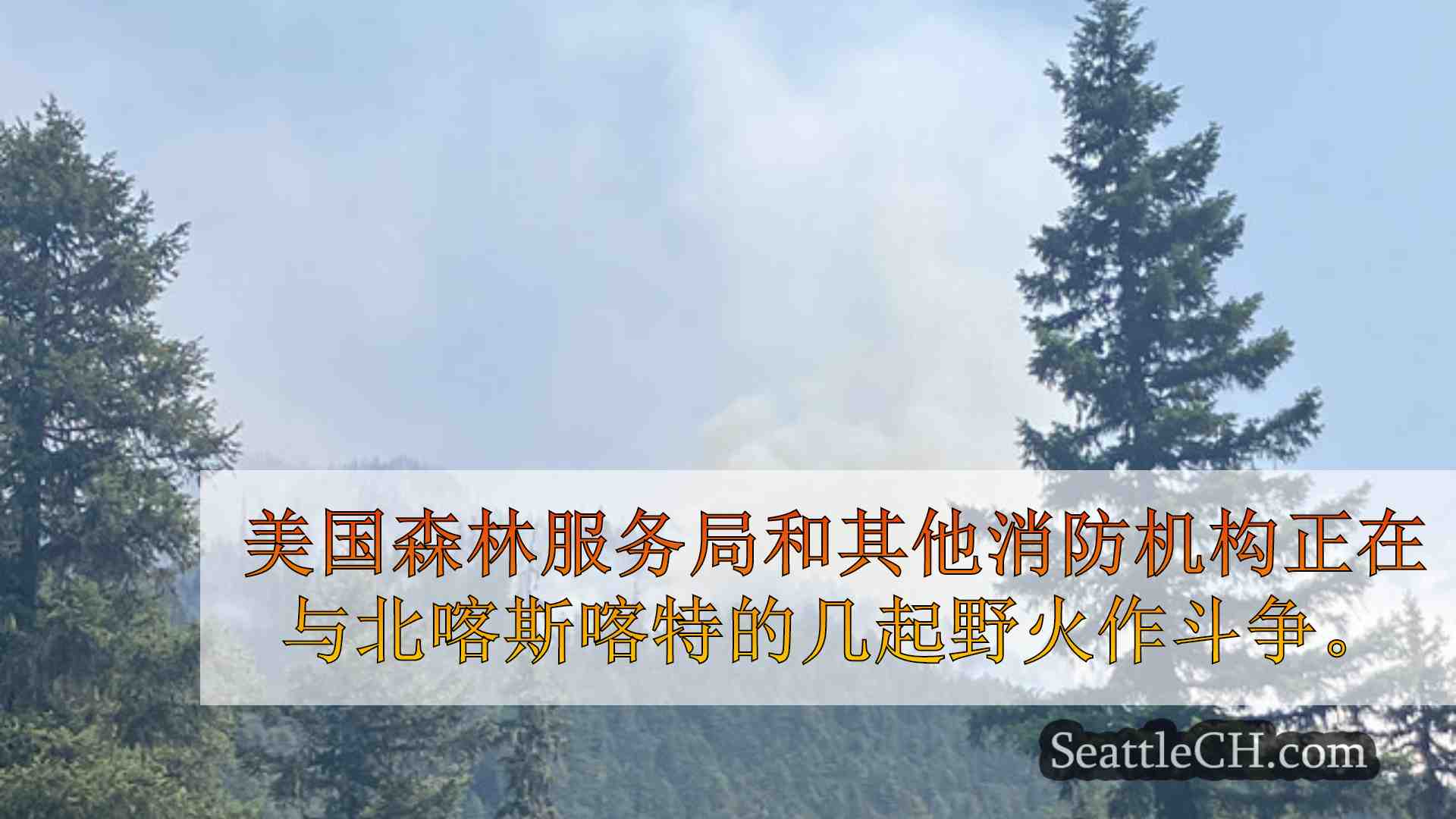 西雅图新闻 SeattleCH
