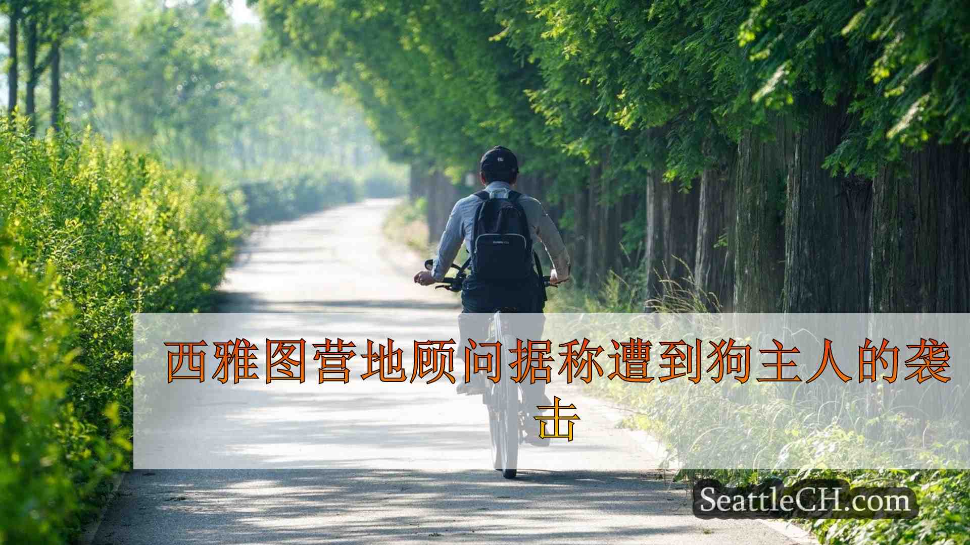 西雅图营地顾问据称遭到狗主人的袭击