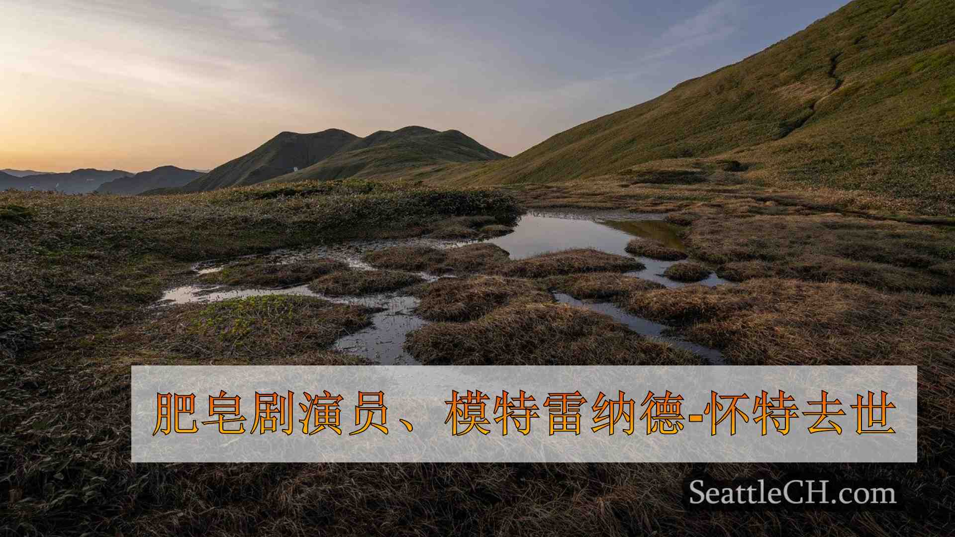 西雅图新闻 SeattleCH