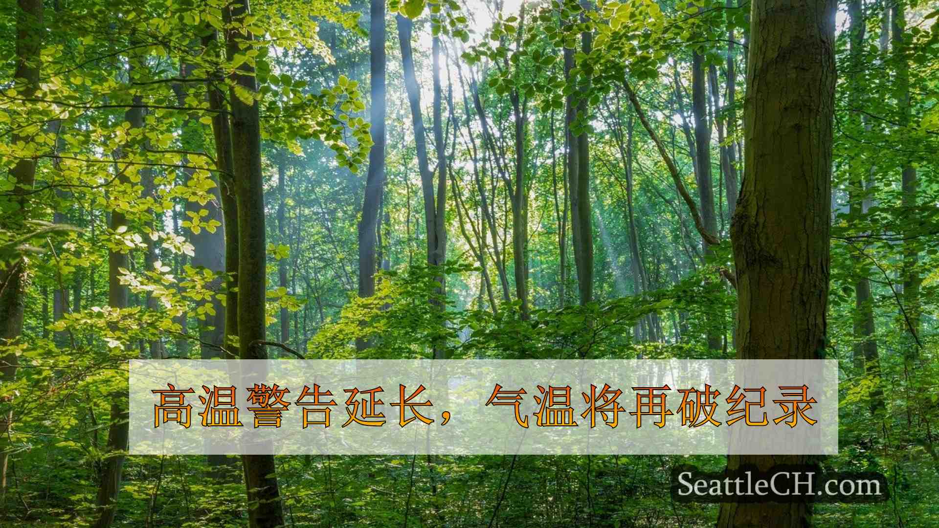 西雅图新闻 SeattleCH