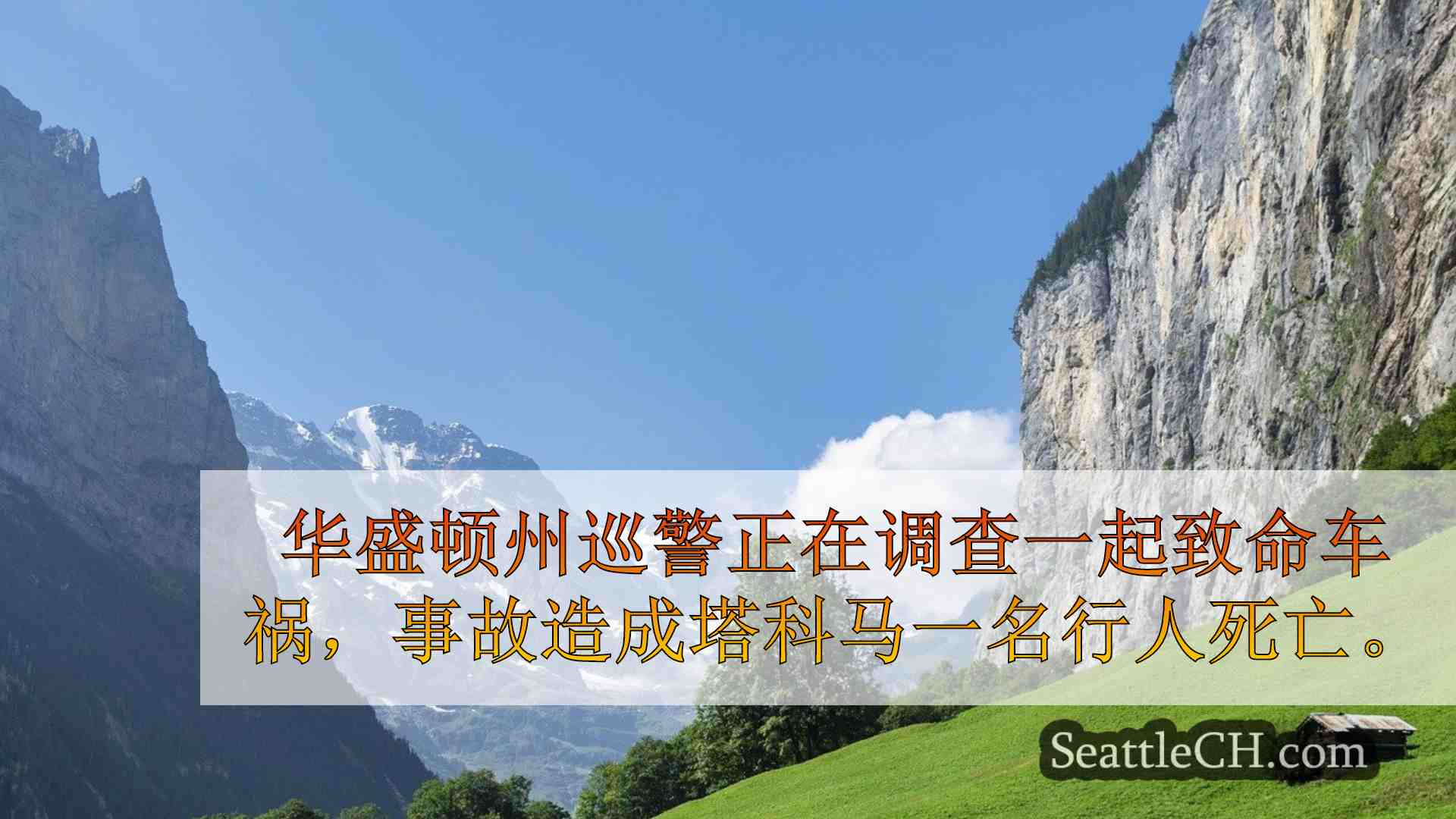 西雅图新闻 SeattleCH