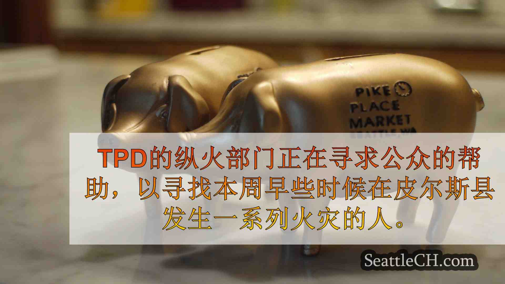 西雅图新闻 SeattleCH