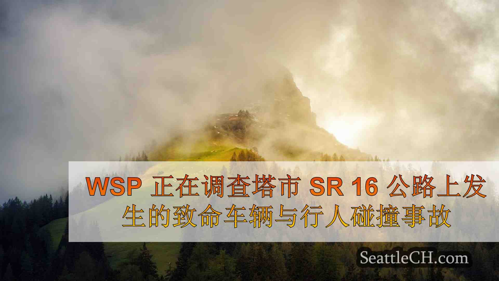 西雅图新闻 SeattleCH