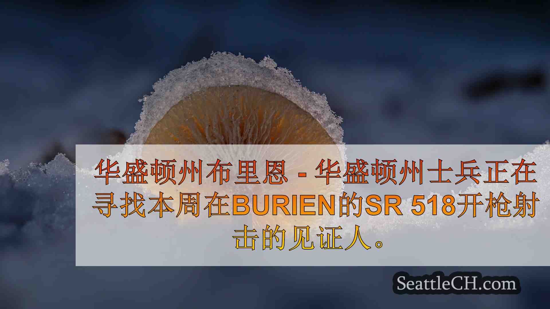 西雅图新闻 SeattleCH