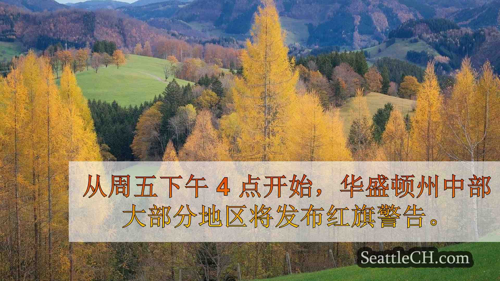 西雅图新闻 SeattleCH